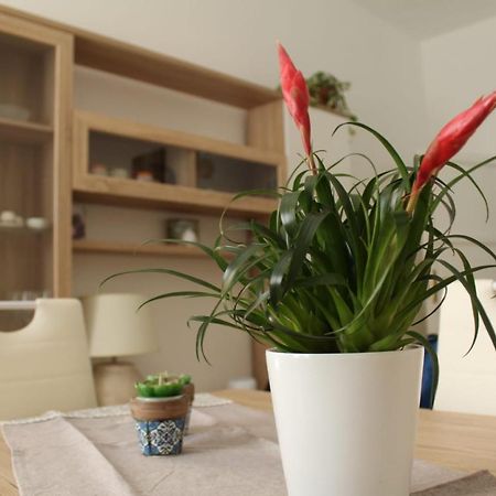 Ohana: Casa Nel Centro Di Лечче Экстерьер фото